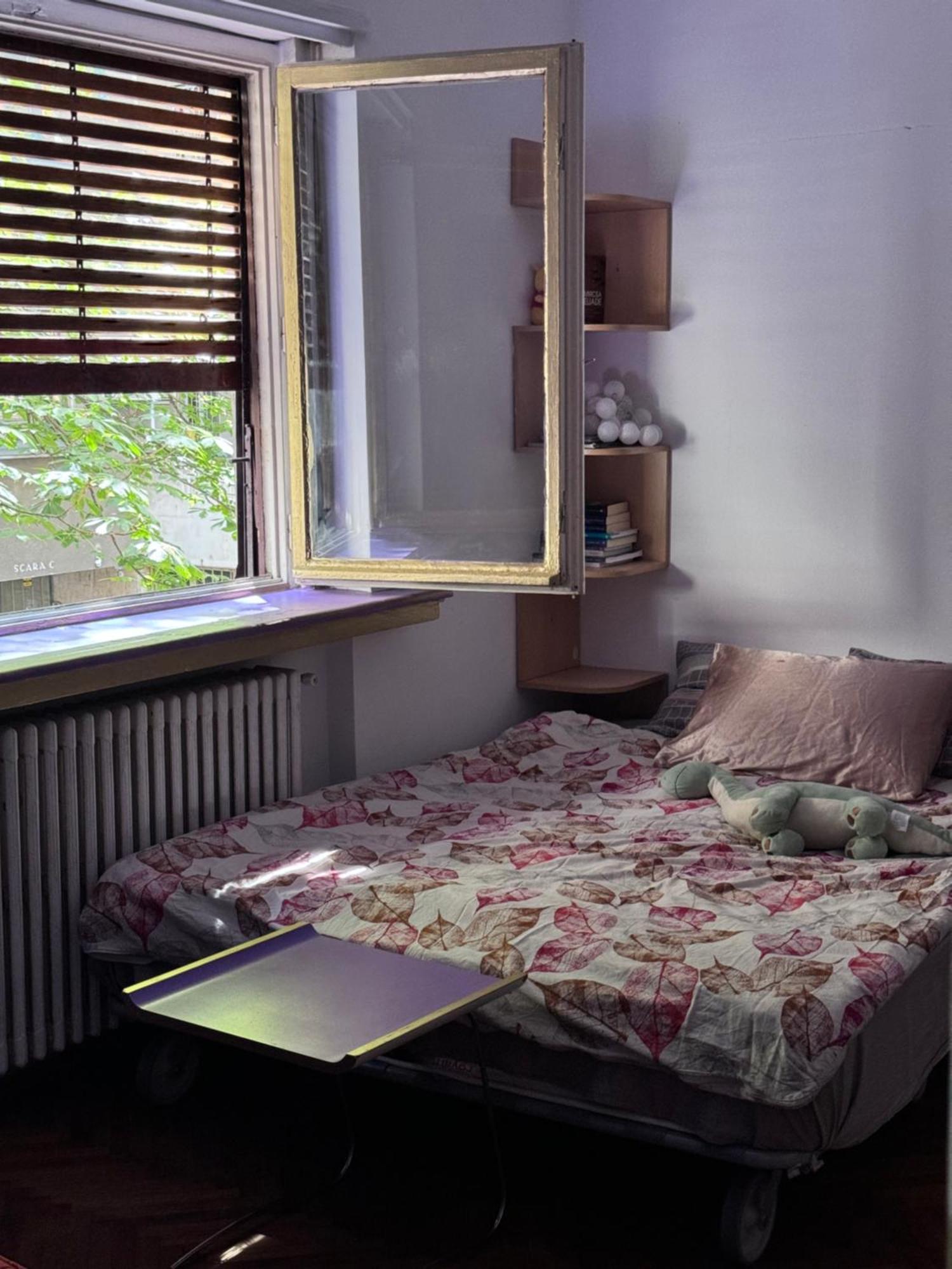 Central Artist - Shared Flat W Host * Bucharest